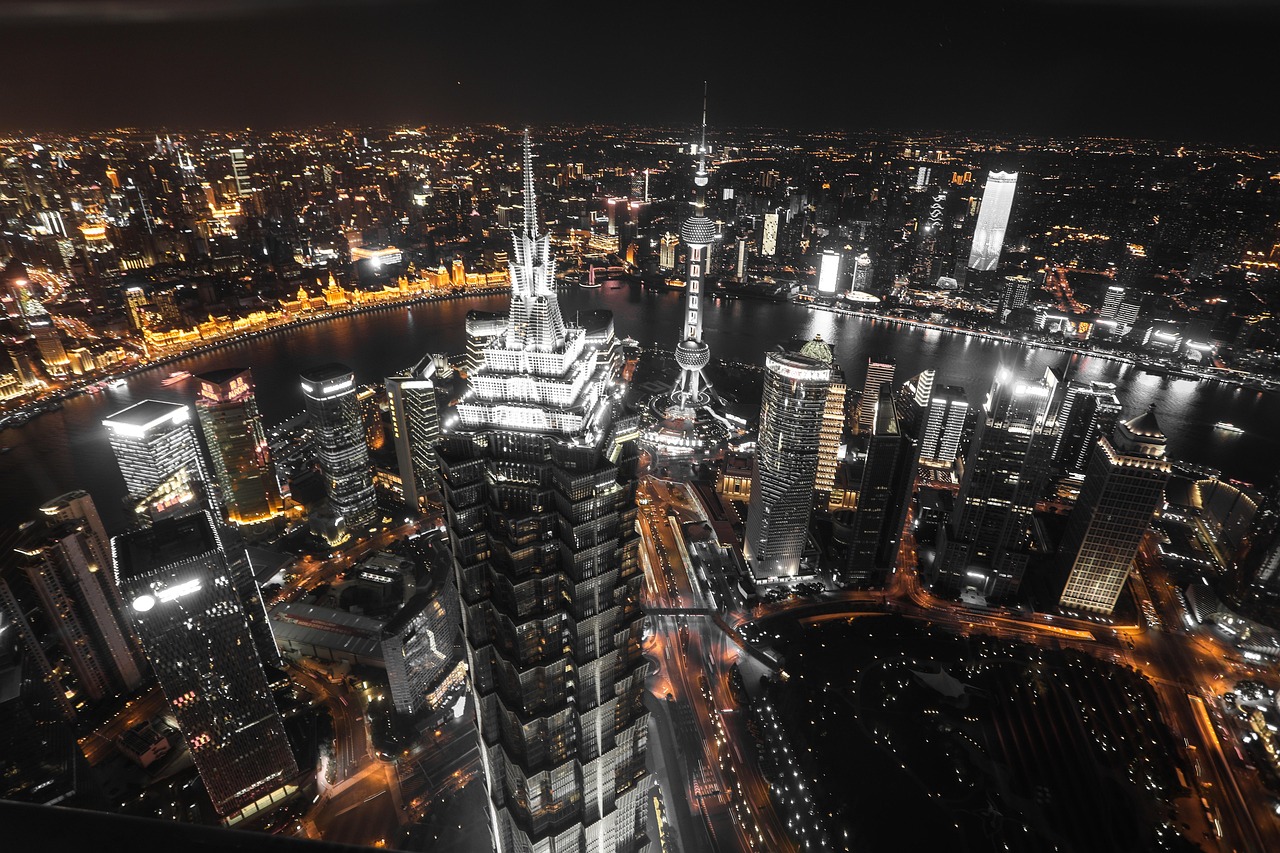 Night, city, shanghai — An Introduction to White Label PPC