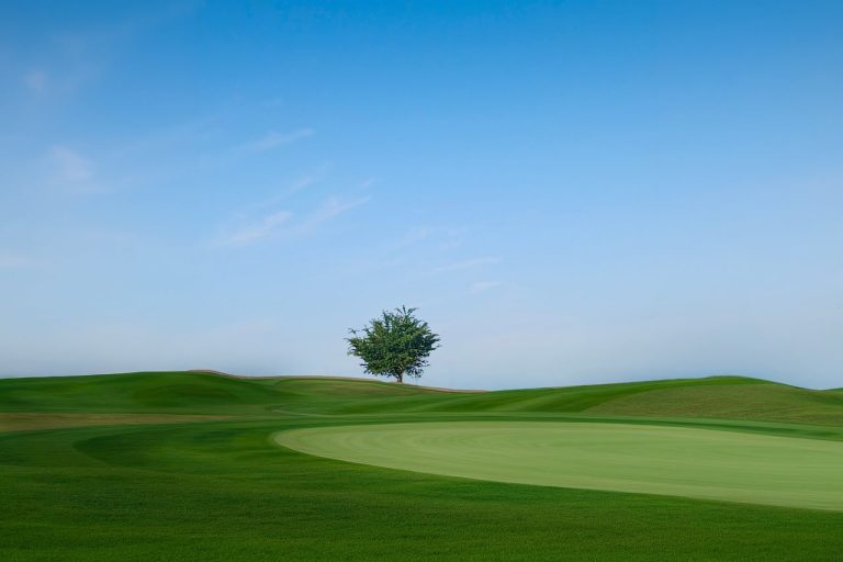 Golf course, tree, blue sky — La Grada Online: The Most Reliable Source for Football Updates
