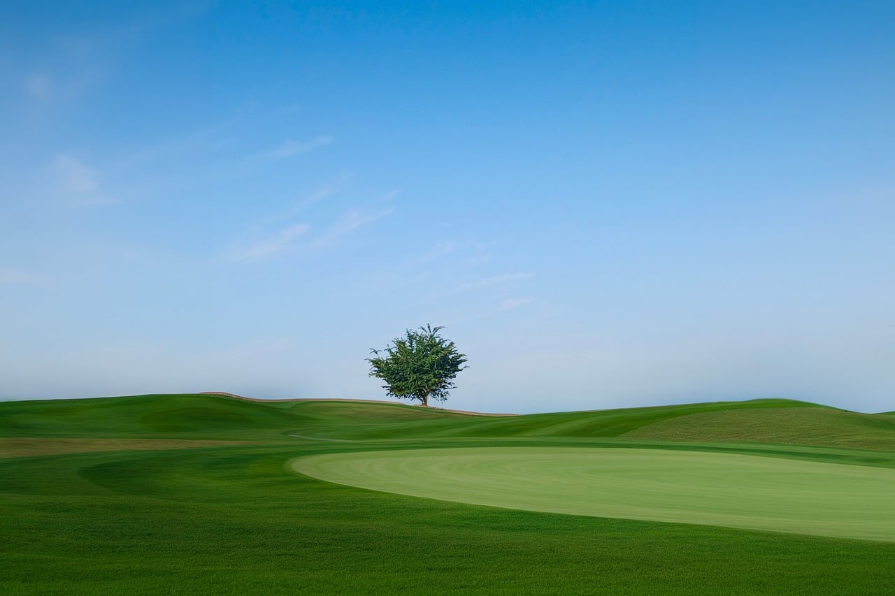 Golf course, tree, blue sky — La Grada Online: The Most Reliable Source for Football Updates